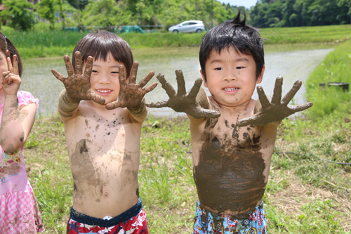 ㋄田植え体験